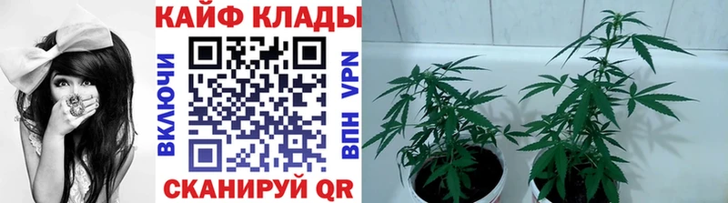 Наркота Рыбное ГАШИШ  Амфетамин  Меф мяу мяу  Канабис  Cocaine 