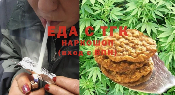 шишки Няндома