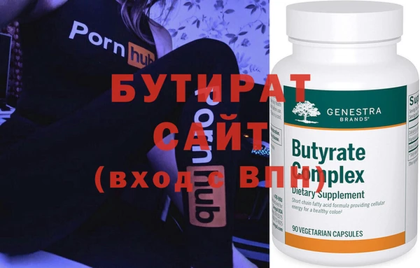 шишки Няндома