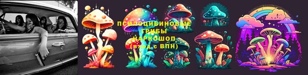 стафф Бронницы