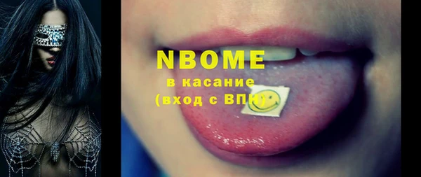 шишки Няндома