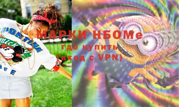 шишки Няндома