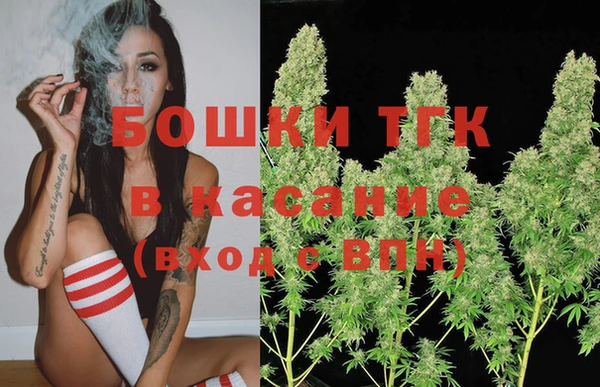 шишки Няндома