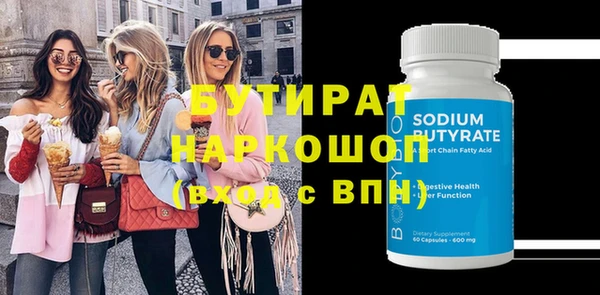 шишки Няндома