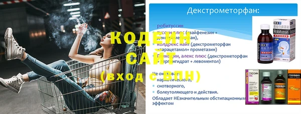 молекула духа Нязепетровск