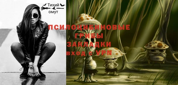 молекула духа Нязепетровск