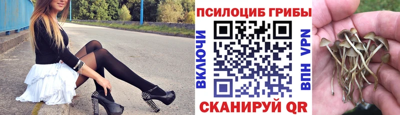 Псилоцибиновые грибы GOLDEN TEACHER  Рыбное 