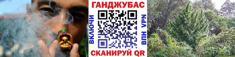 Бошки Шишки Amnesia  Рыбное 